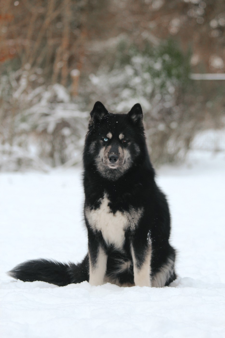 berry mix Yupi blueberry