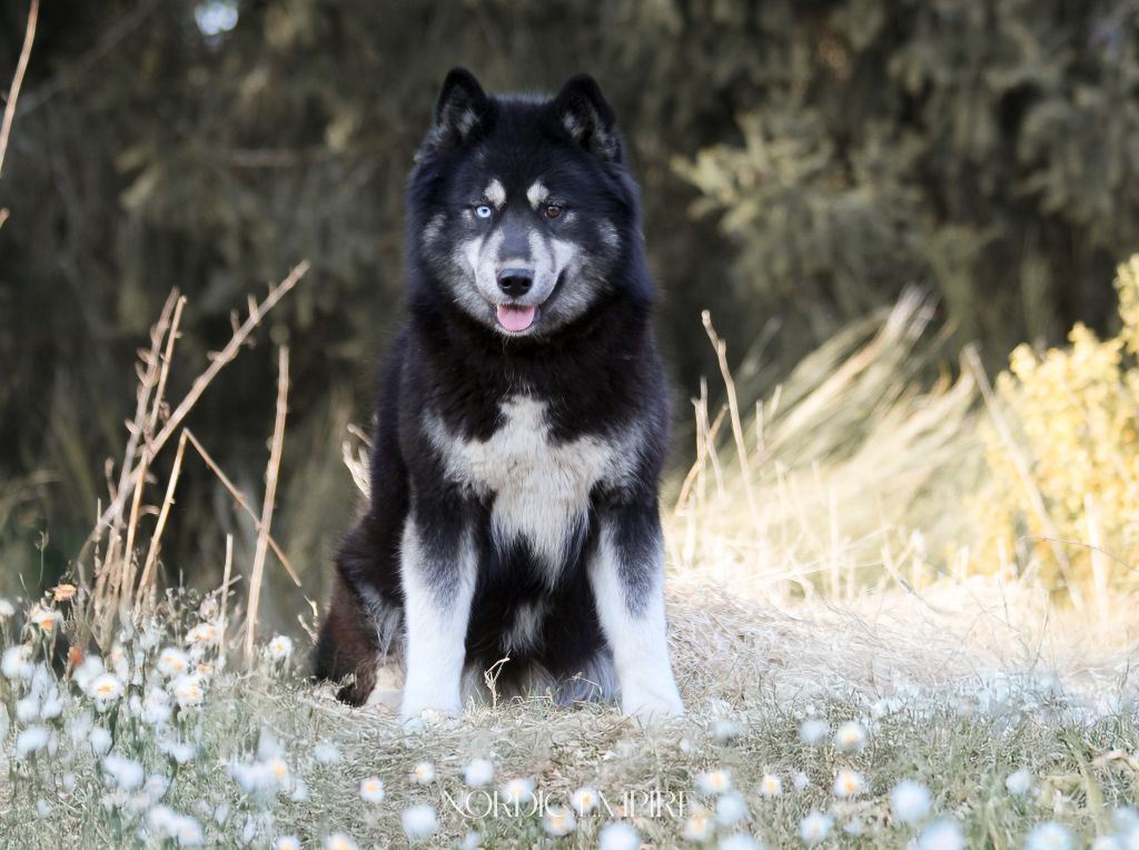 berry mix Yupi blueberry