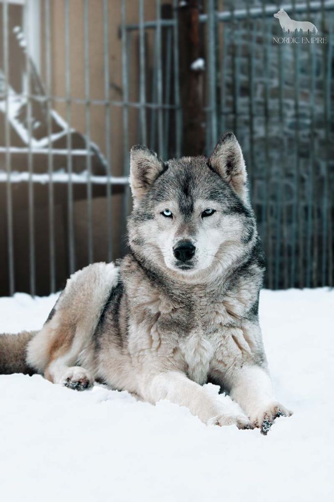 tobake before Sunshine